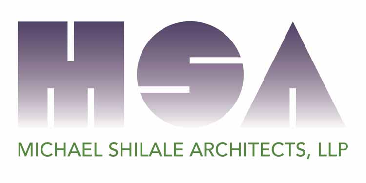 msa logo 2